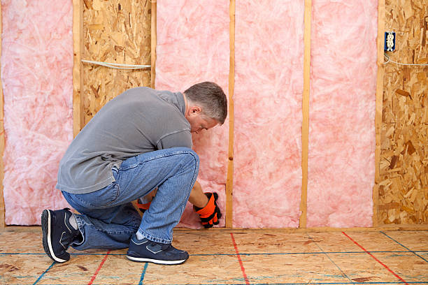 Best Eco-Friendly Insulation in Green Village, NJ